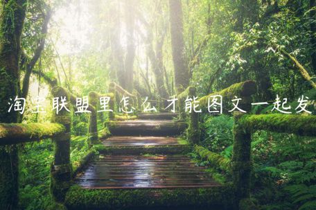 淘寶聯(lián)盟里怎么才能圖文一起發(fā)